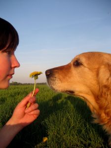 Girl with a Dog